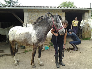 Amanda looks like Whisky